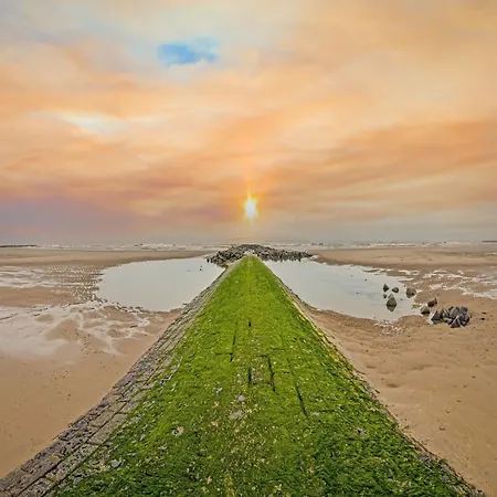 شقة By The Sea With Stunning Views *